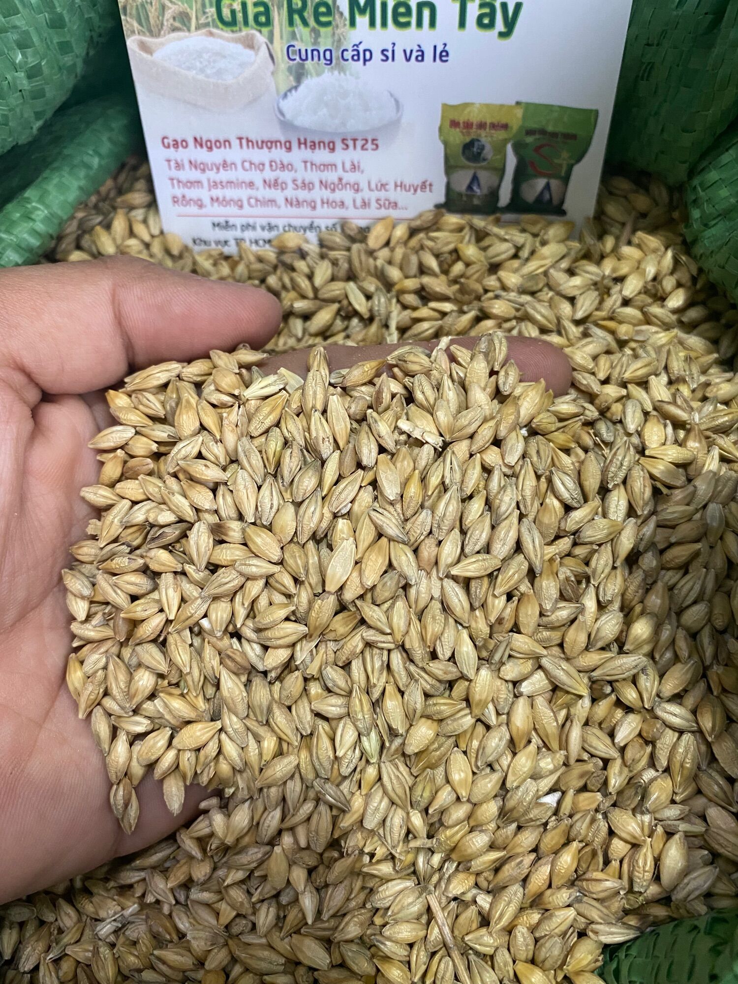 1kg hạt đại mạch dành cho gà, chim kiểng , hamster …