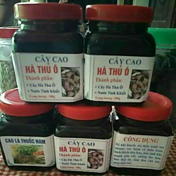 Cao hà thủ ô