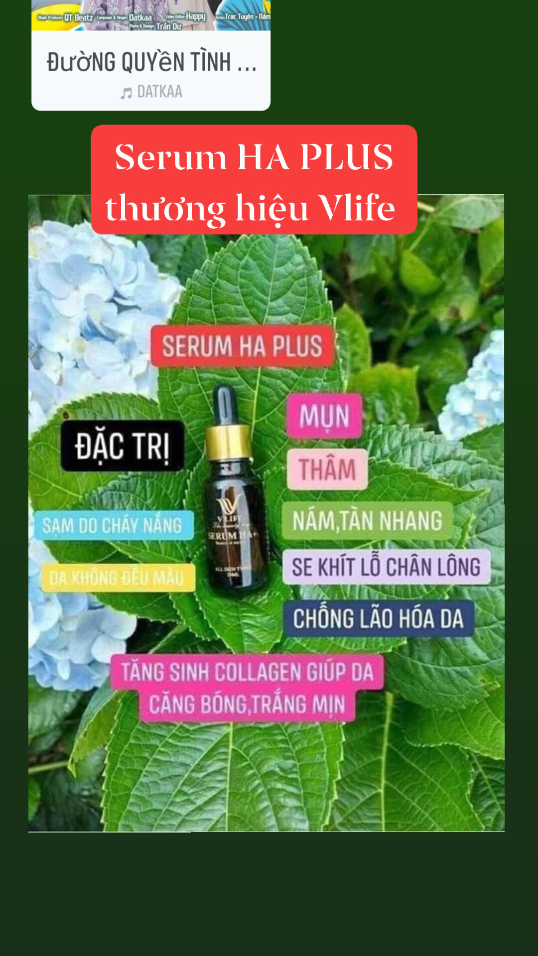Serum ha plus thương hiệu vlife