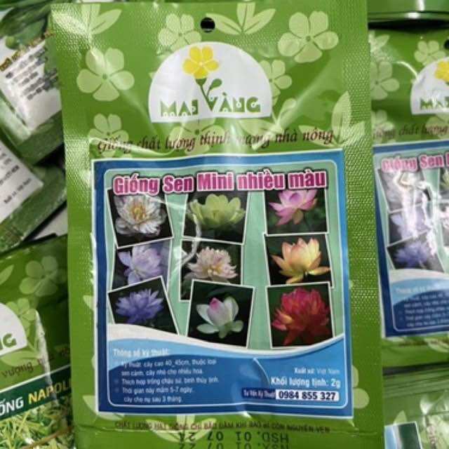 Hạt giống sen mini nhật mix 5 màu (2gr)