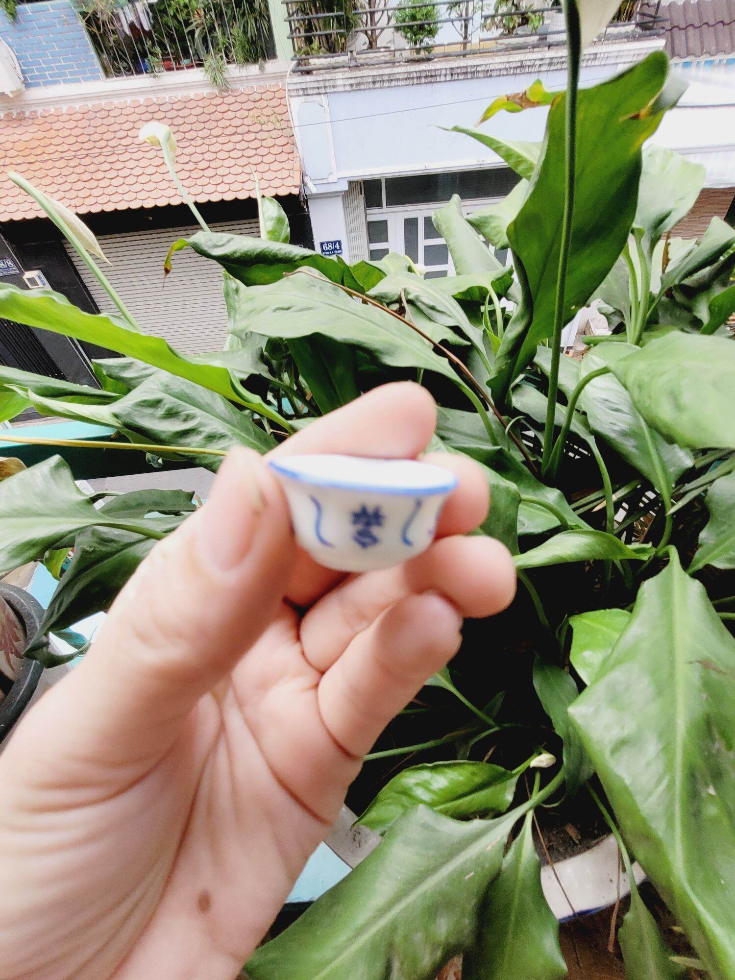Chén Dĩa sứ mini cho mô hình dollhouse , miniature