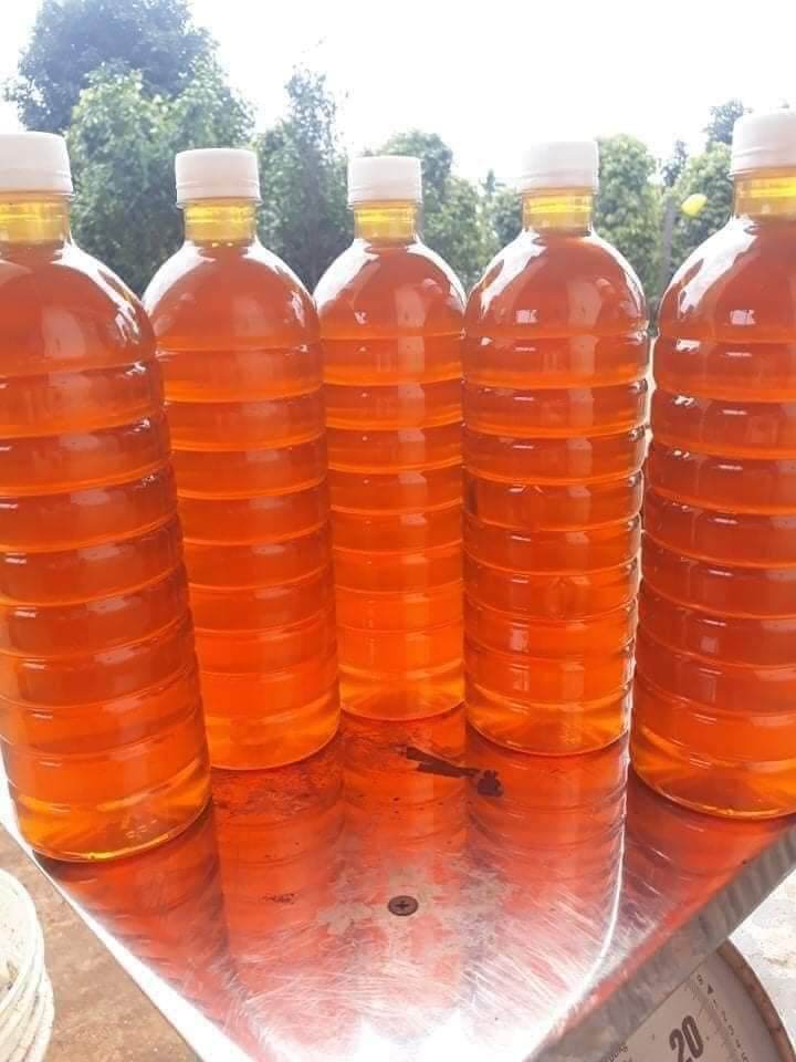 Mật Ong Hoa Cà Phê Chai 1 Lít
