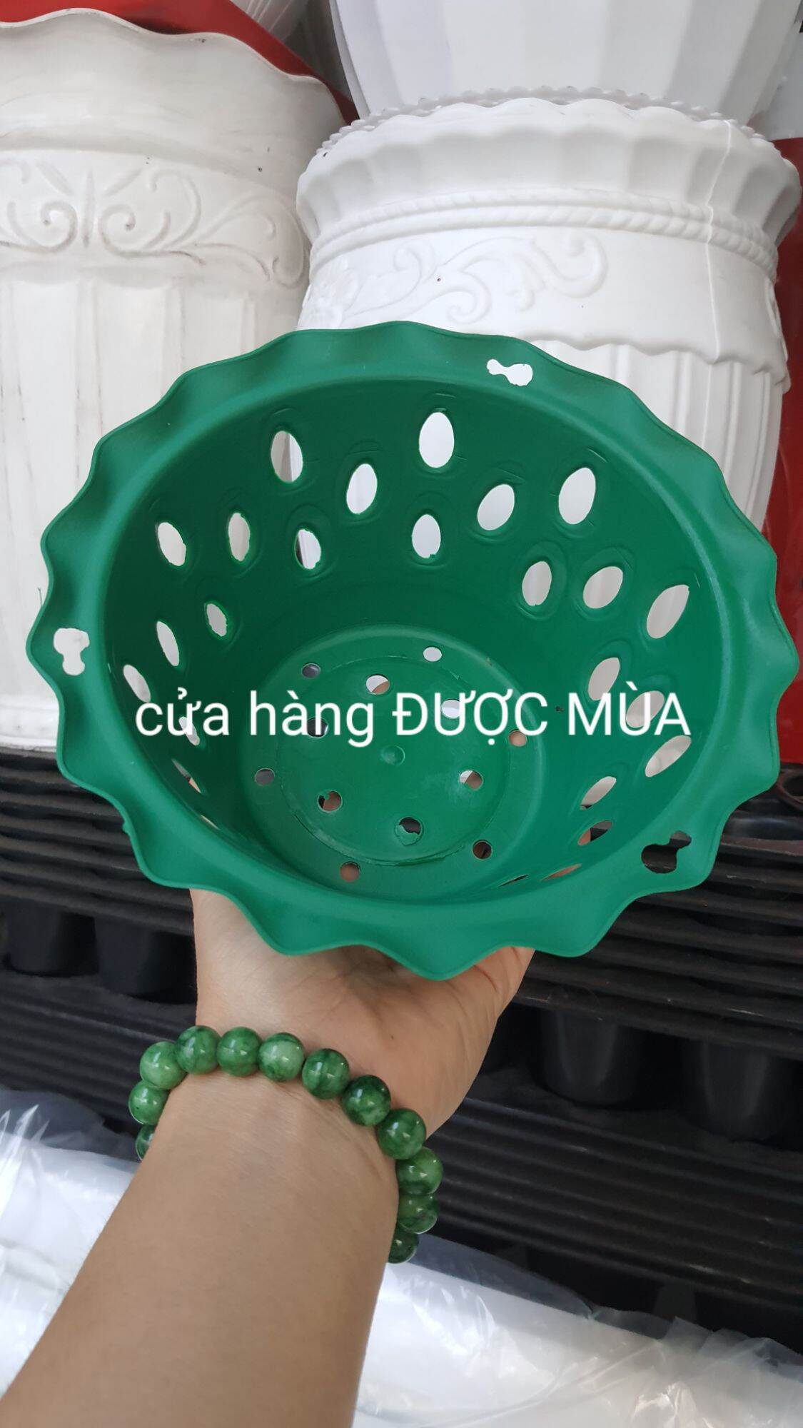 combo 10 cái chậu nhựa trồng lan phi 16 siêu đẹp