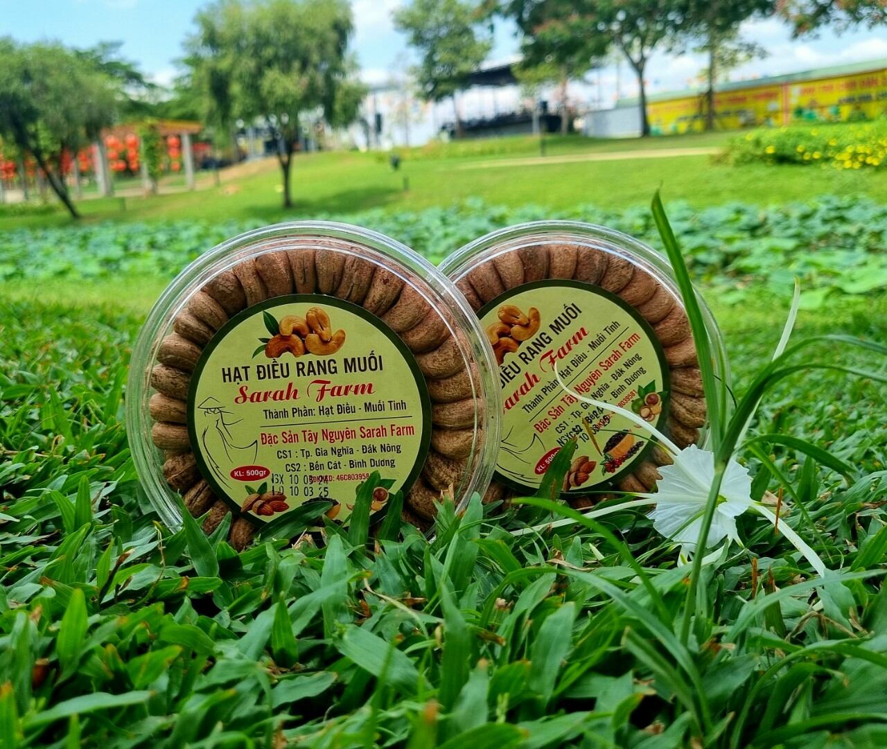 Hạt điều rang muối Sarah Farm