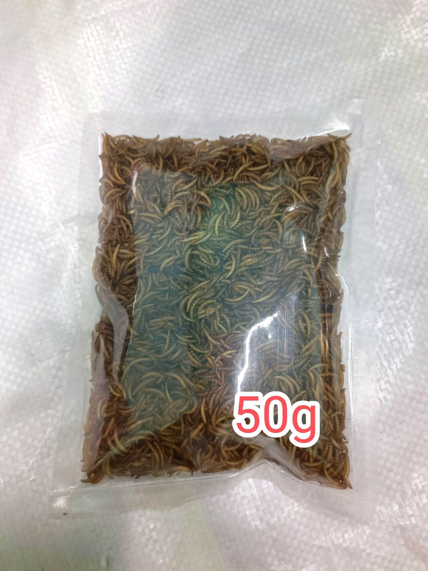 Sâu gạo sấy khô cho hamster cá chim cảnh