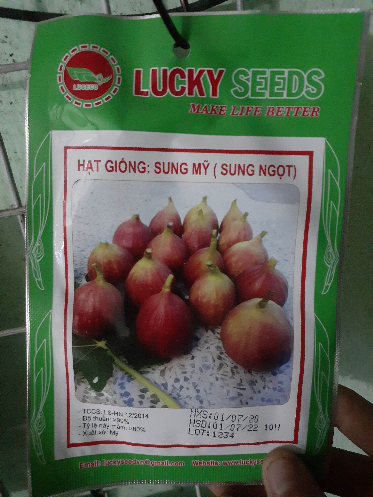 HẠT GIỐNG SUNG MỸ GÓI 10 HẠT