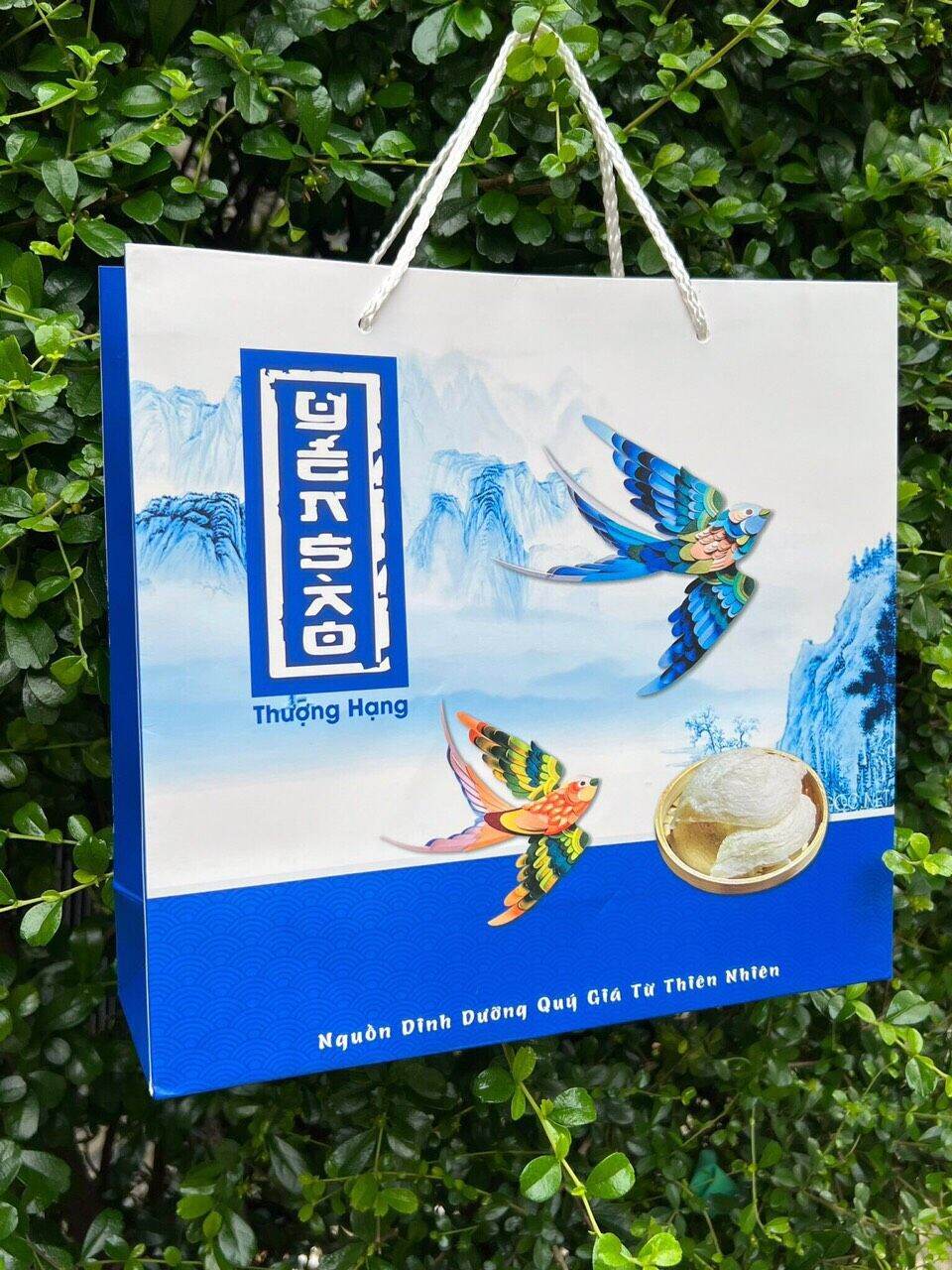 TÚI GIẤY ĐỰNG YẾN SÀO 100 gr(KHÔNG ÉP KIM )