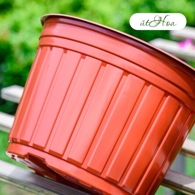 Chậu nhựa nâu N35 size lớn nhất
