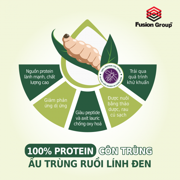 (1.2KG) HẠT THỨC ĂN WELLSOME DÀNH CHO CHÓ LỚN