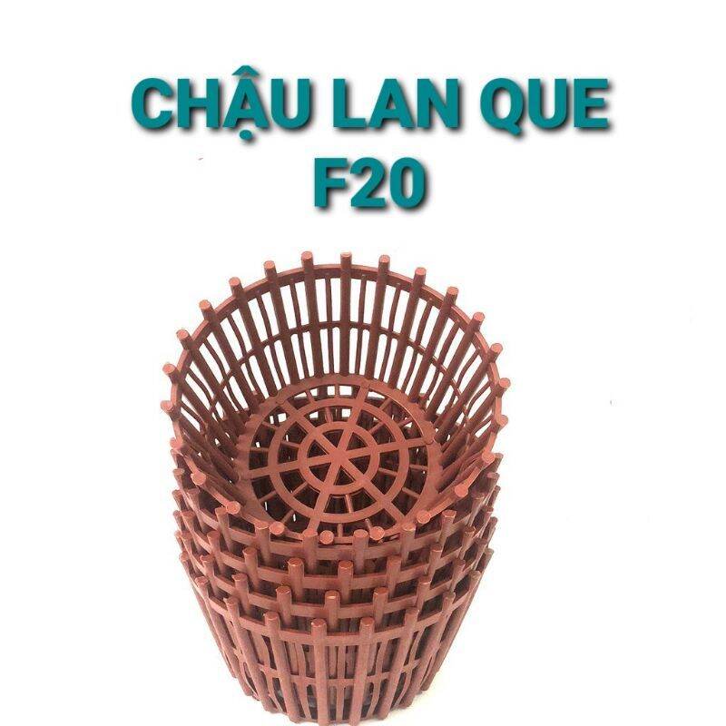Com bo 10 chậu nhựa Lan que có nan phụ phi 20