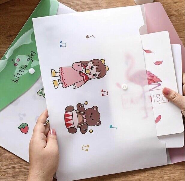 Combo 5 Túi đựng a4 bấm