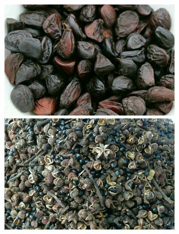 Combo 50g hạt dổi + 500g mắc khén