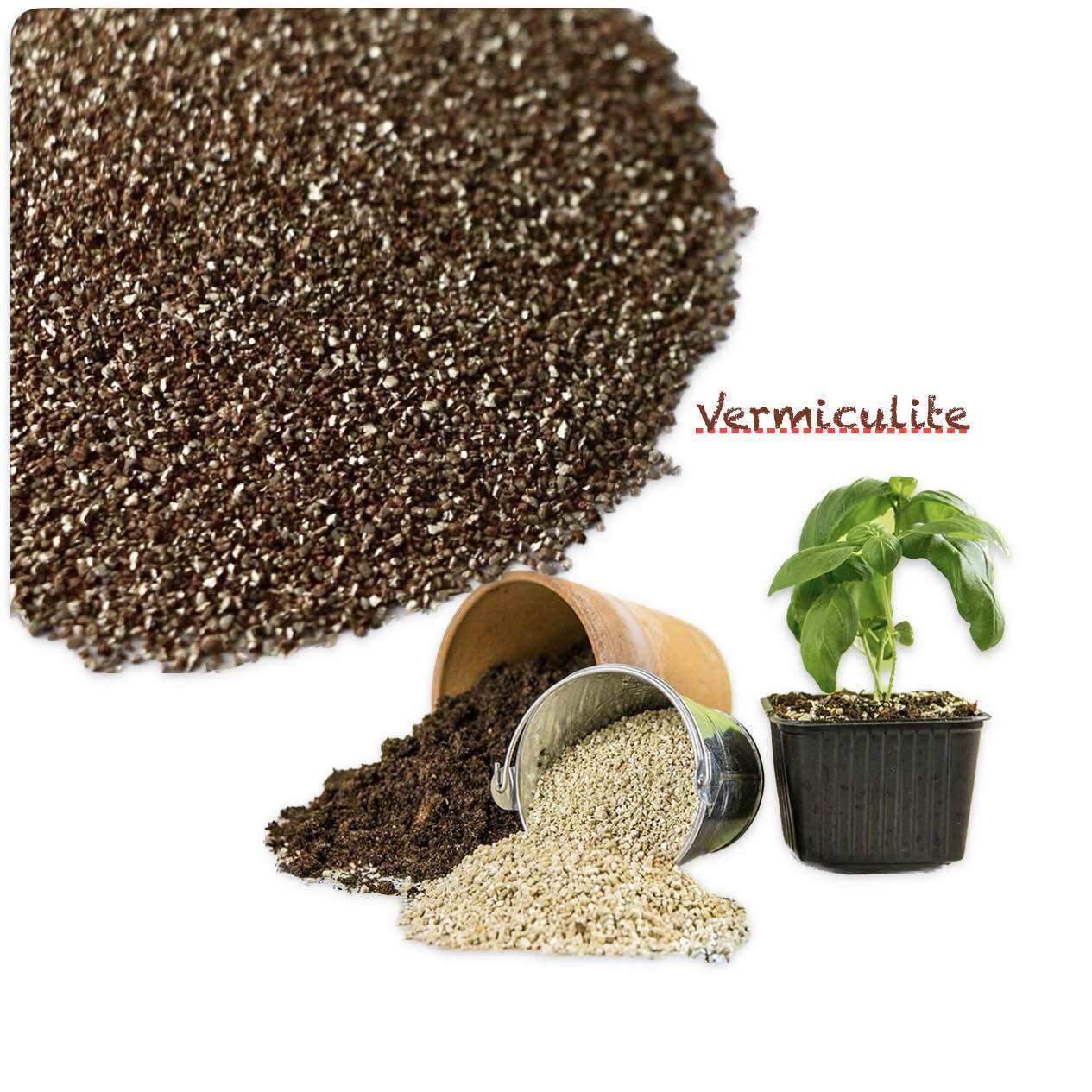 Đá Trồng Cây Vermiculite Trồng Cây, Hoa Kiểng,Sen Đá,Hoa Sứ,Xương Rồng