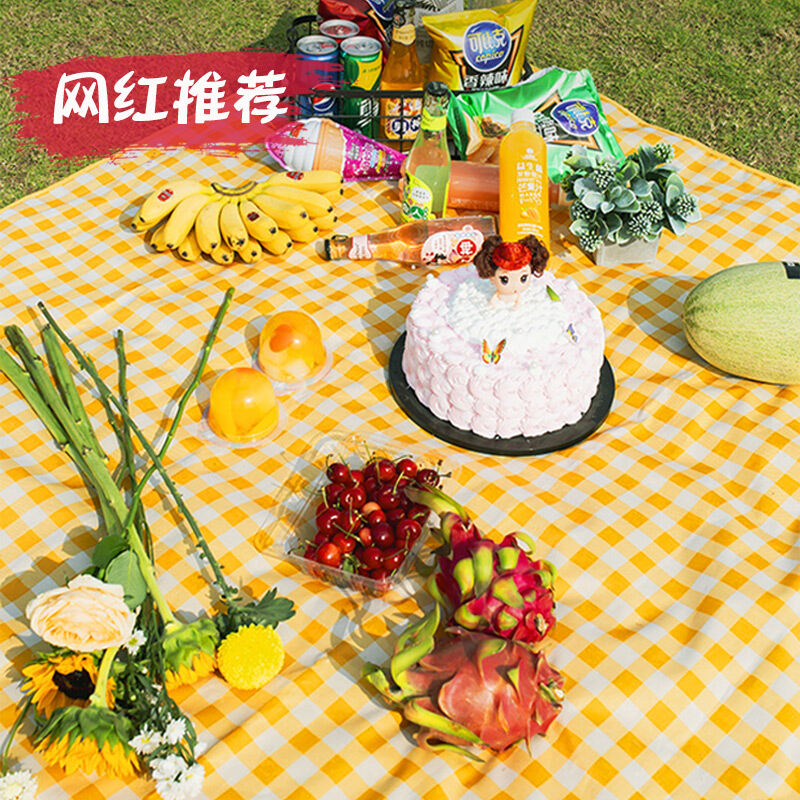 Đệm Dã Ngoại Đệm Chống Ẩm Đệm Ngủ Chống Thấm Nước Đi Chơi Ngoại Ô Ngoài