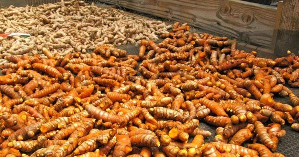 Tinh bột nghệ nếp đỏ nguyên chất Bảo An