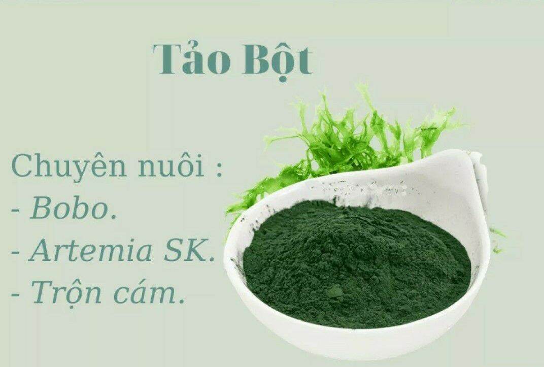 Tảo Bột (1KG) : Thức Ăn Artemia,  BoBo