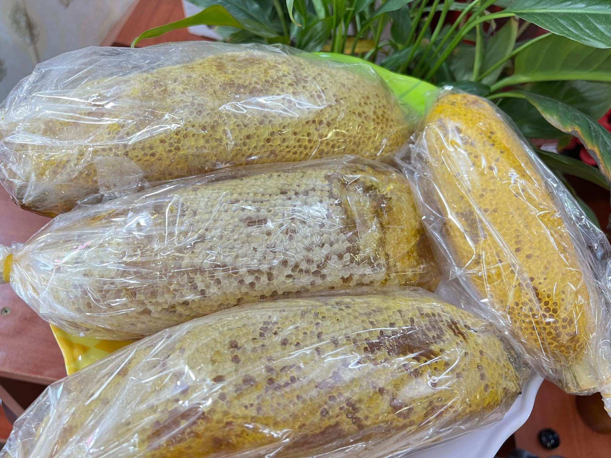 Tổ ong ruồi thiên nhiên