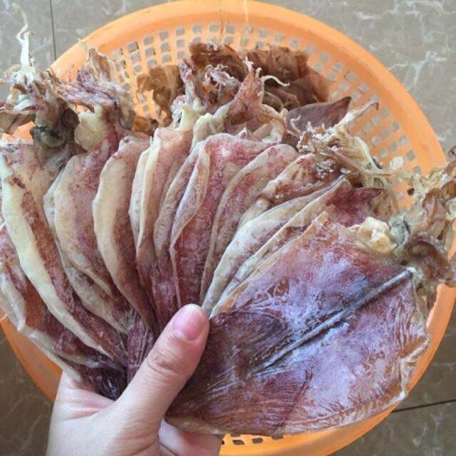 31 con mực y hình ngon mới