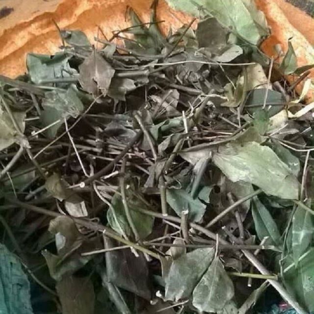 1kg chè vằng sẻ Nghệ An