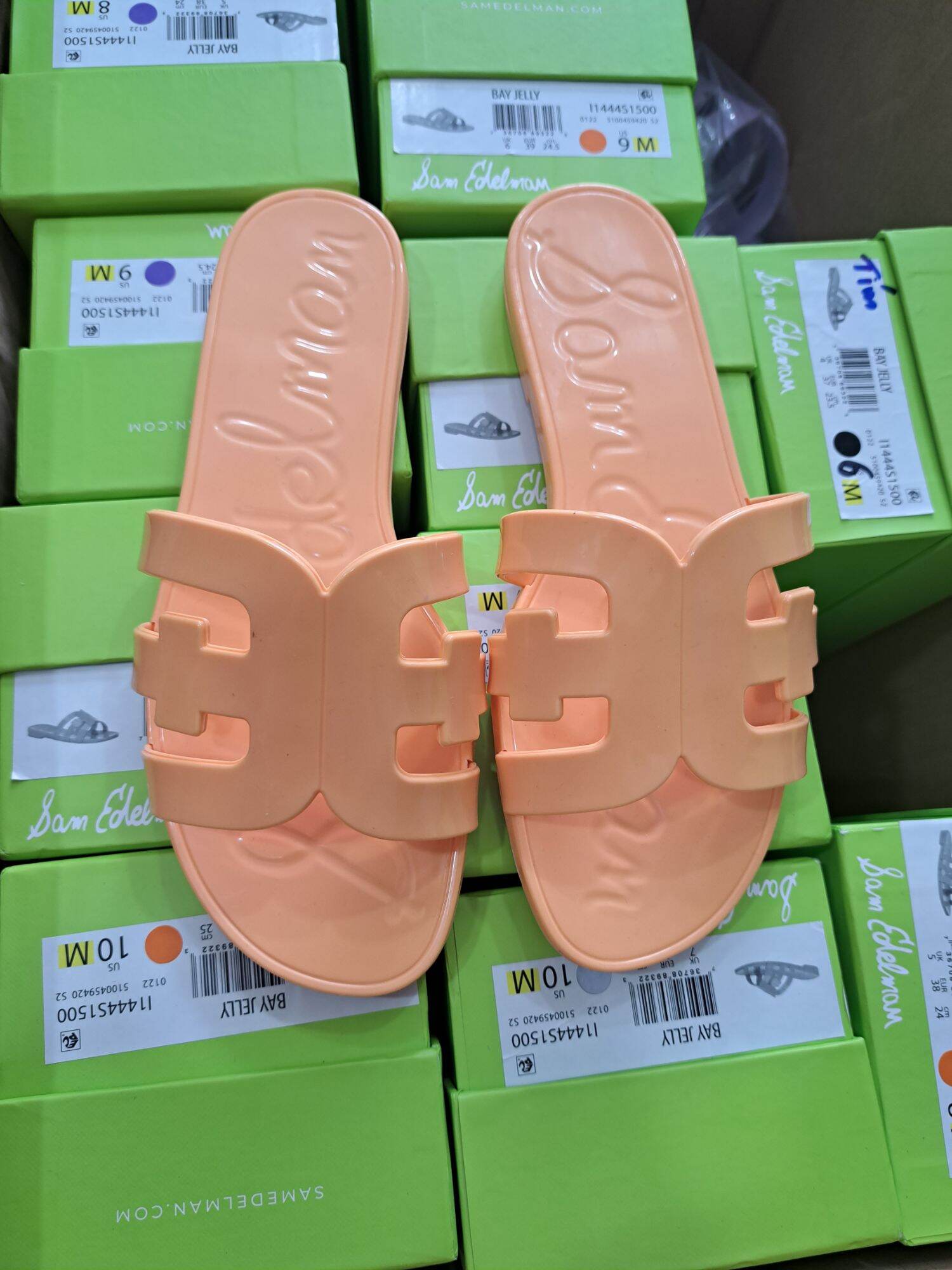 Dép Sam Edelman Bay Jelly Slide Sandal