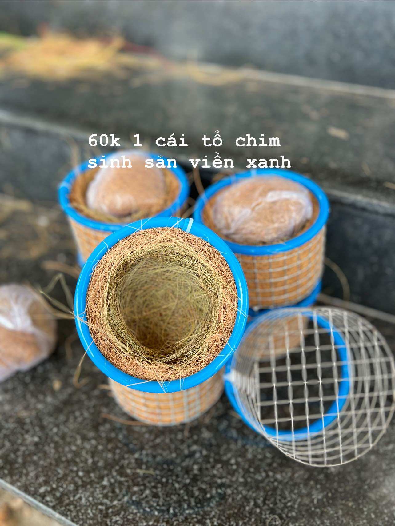 Tổ chim chào mào sinh sản VIP pro  (tặng kèm bông đót và sơ dừa)