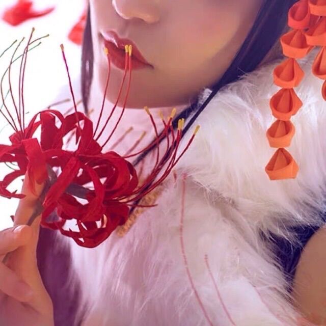 Hoa bỉ ngạn cầm tay chụp hình