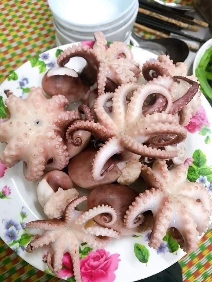 BẠCH TUỘC SỮA NGON S.ii #108k/khay 500g