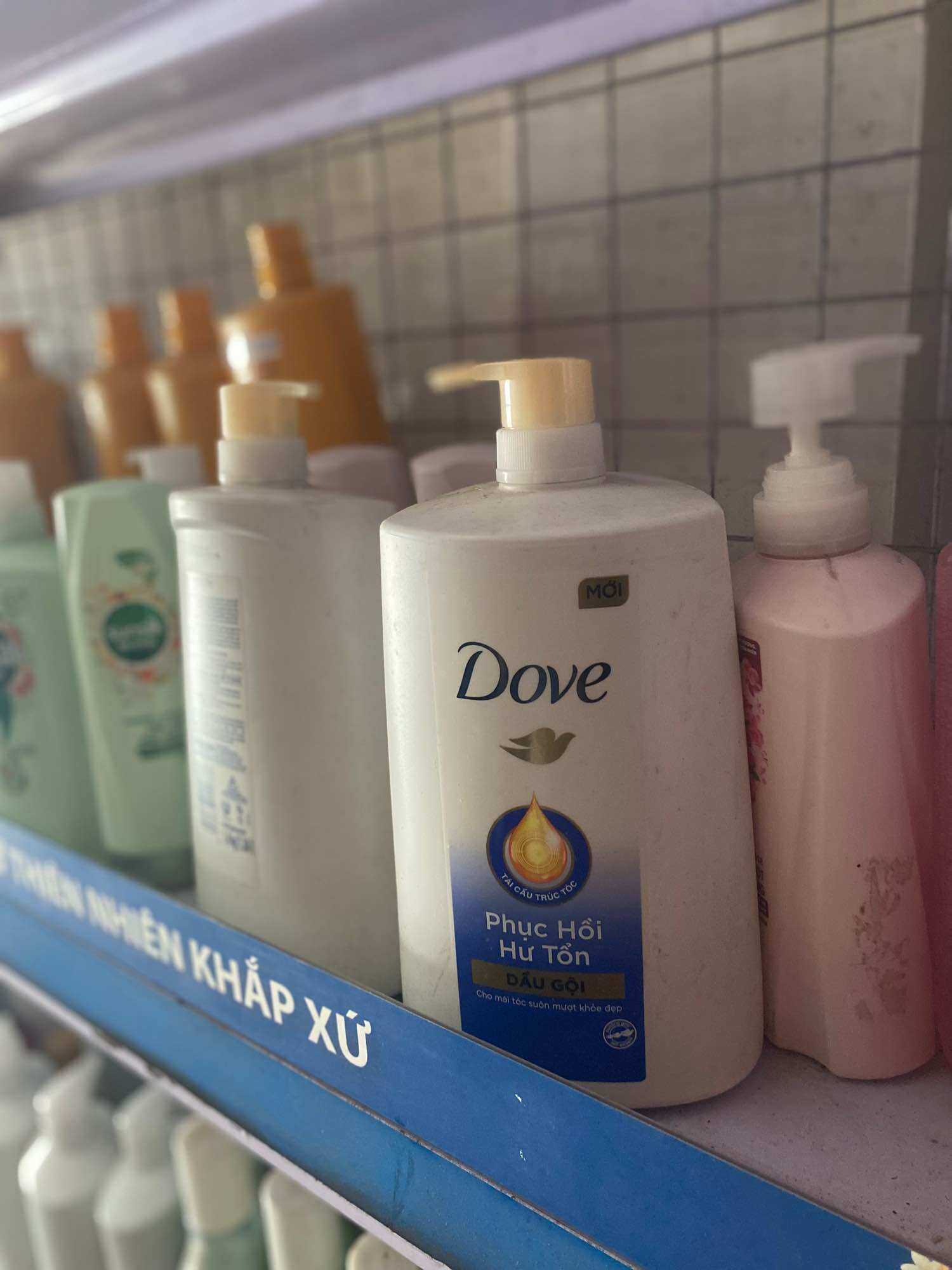 DẦU GỘI ĐẦU DOVE 1,4kg