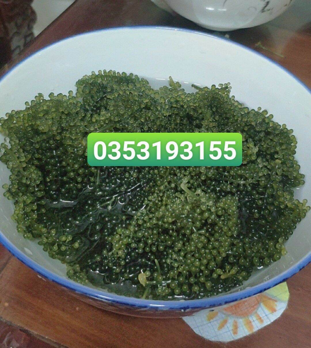 [HCM]Viên Tricoderma Mỹ ủ phân ủ cá phòng ch-ết nhát, nấm bệnh, cải tạo đất