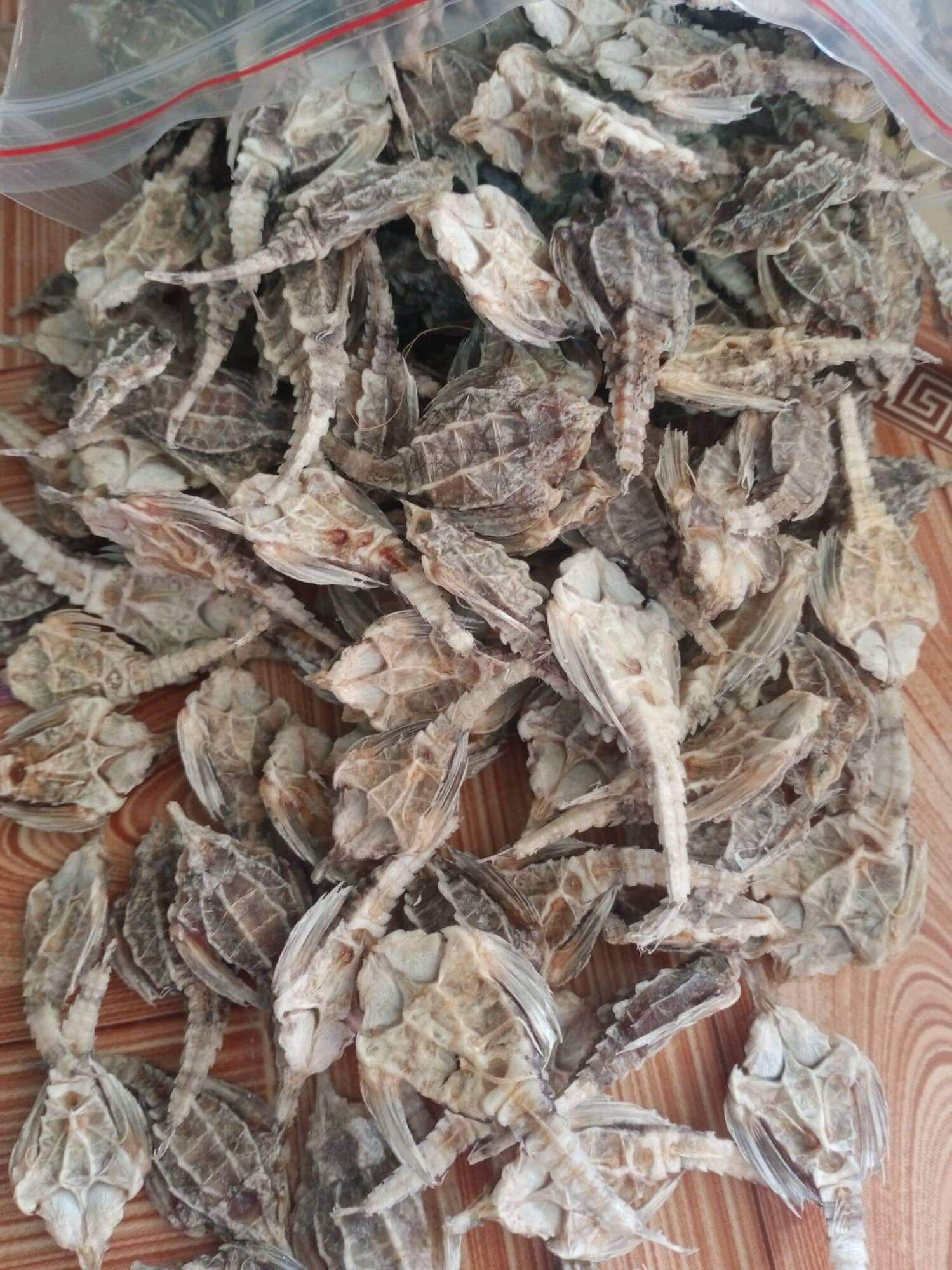10 con cá hải yến khô