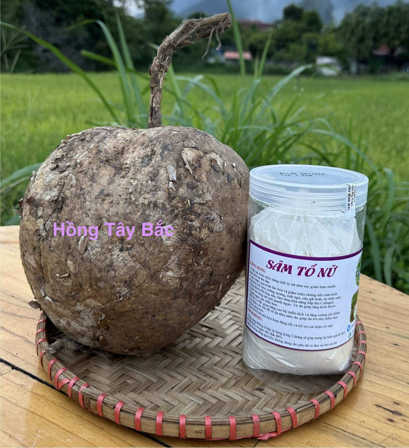 Sâm Tố Nữ Nguyên Chất ( Miếng Khô Và Bột Tiện Dụng )