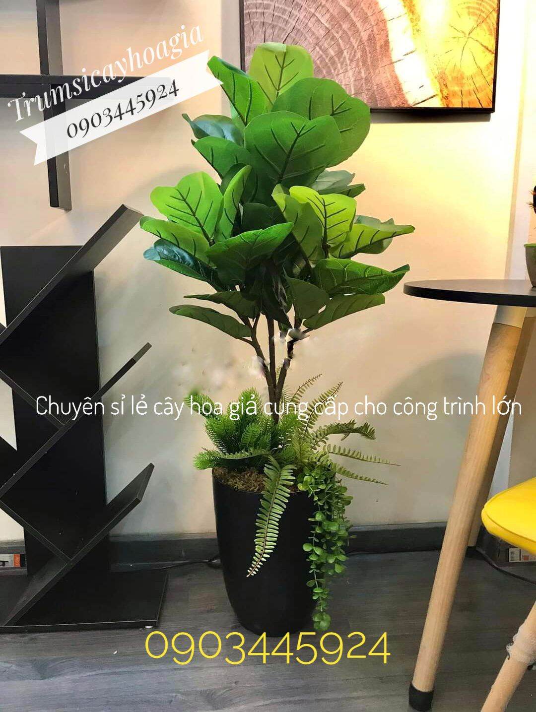 Cây bàng singapore giả cao cấp cao 100cm không kèm chậu giá sỉ-cây giả-trumsicayhoagia