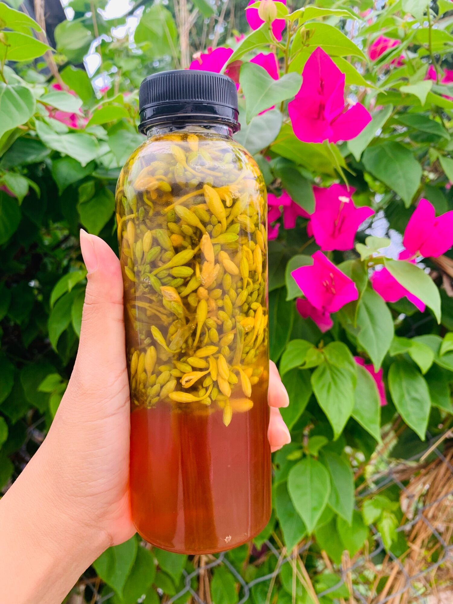 Hoa đu đủ đực tươi ngâm mật ong 500ml.