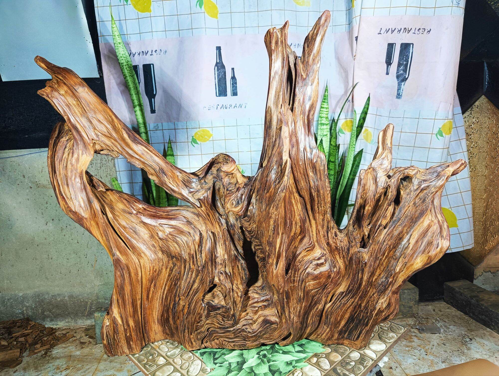 lũa gỗ thơm ngọc am đỏ hà giang