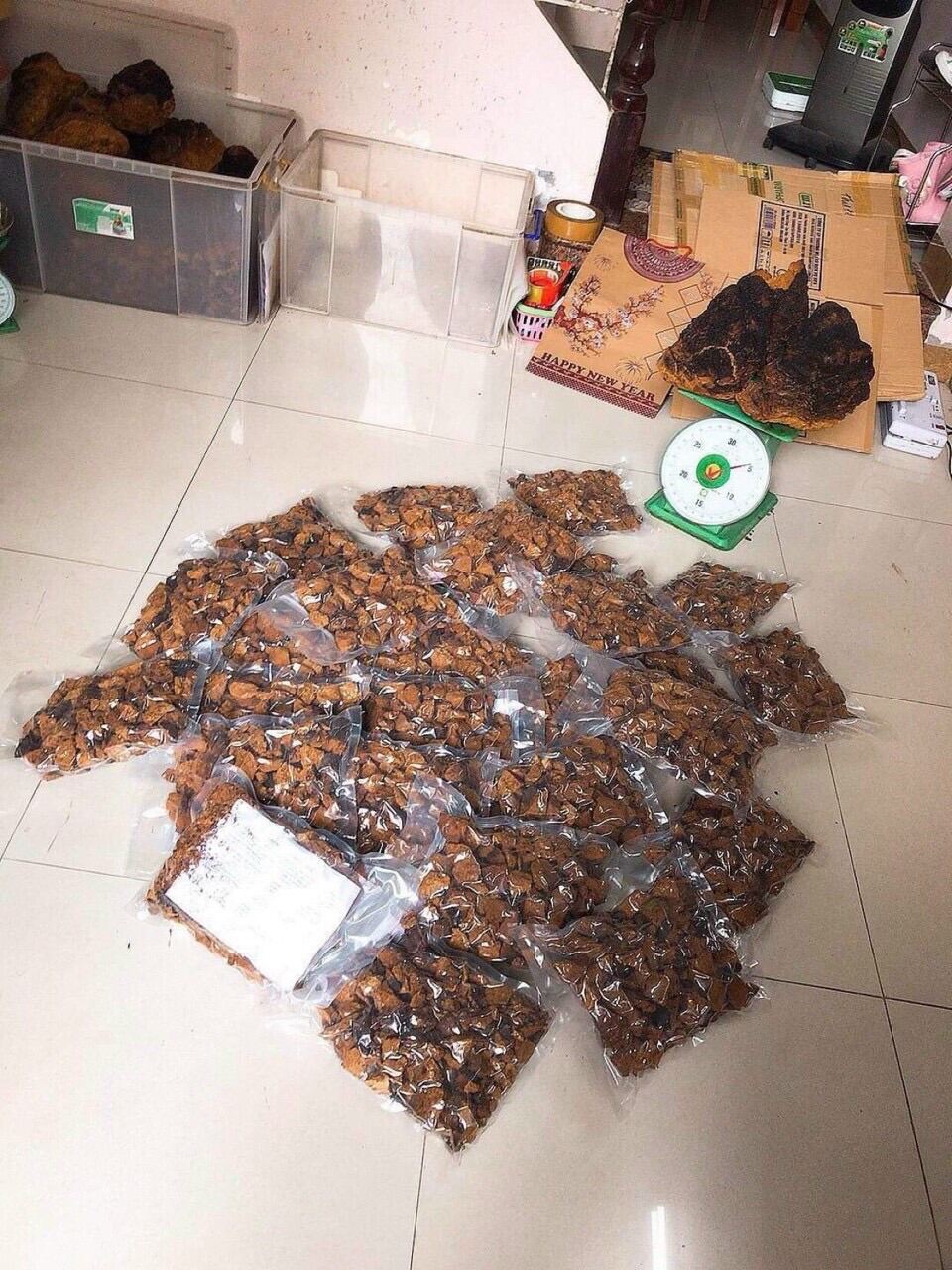 Nấm Chaga 600K/Kg Hàng Siberia Nga