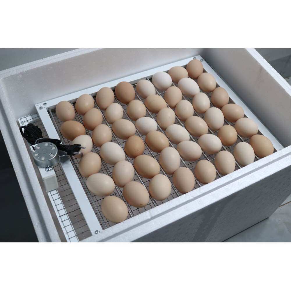 khay đảo trứng tự động