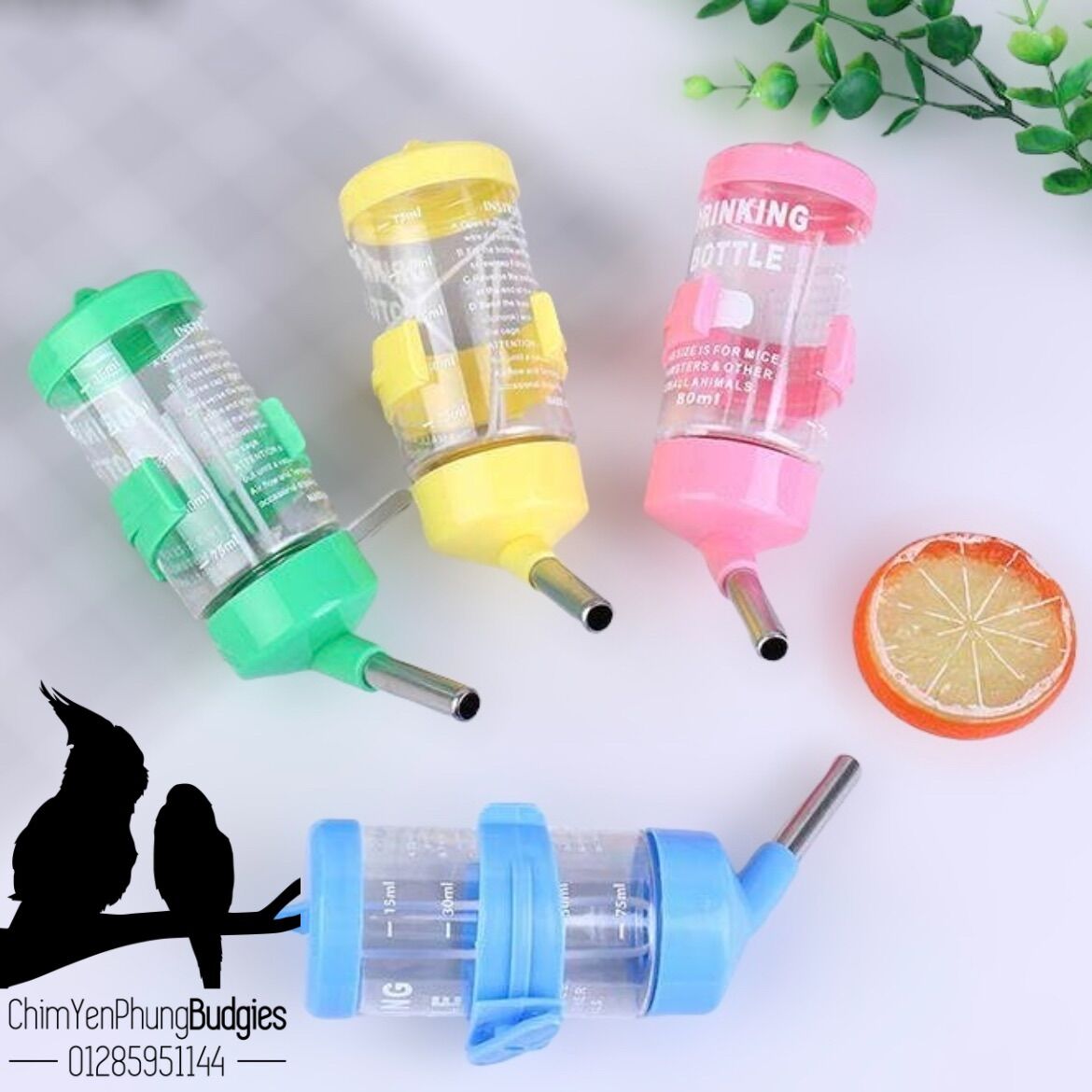 Bình nước bi cao cấp 80ml cho Hamster • Vẹt • Thú Cưng.