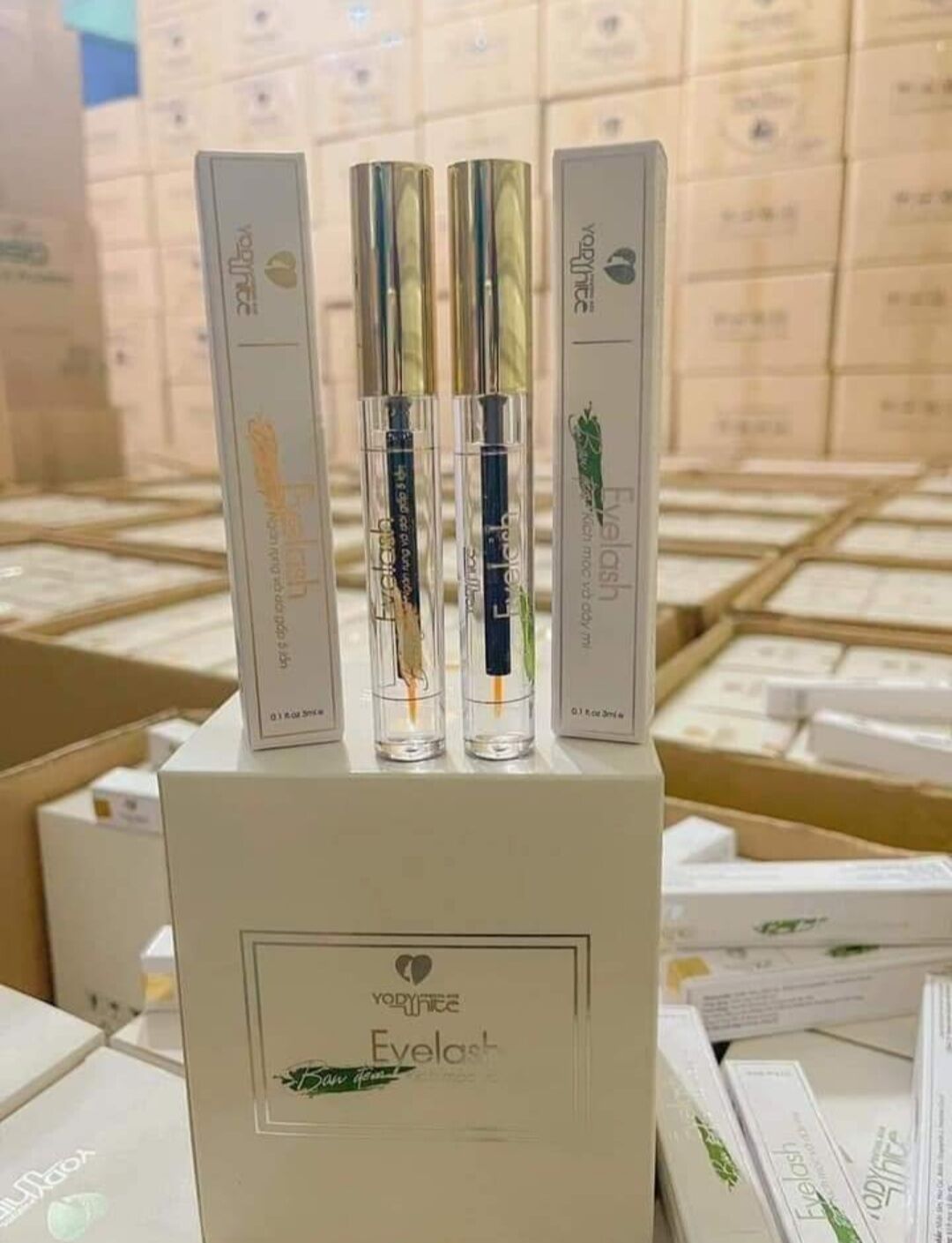 Combo Dưỡng Dài, Dày Mi Phương Anh
