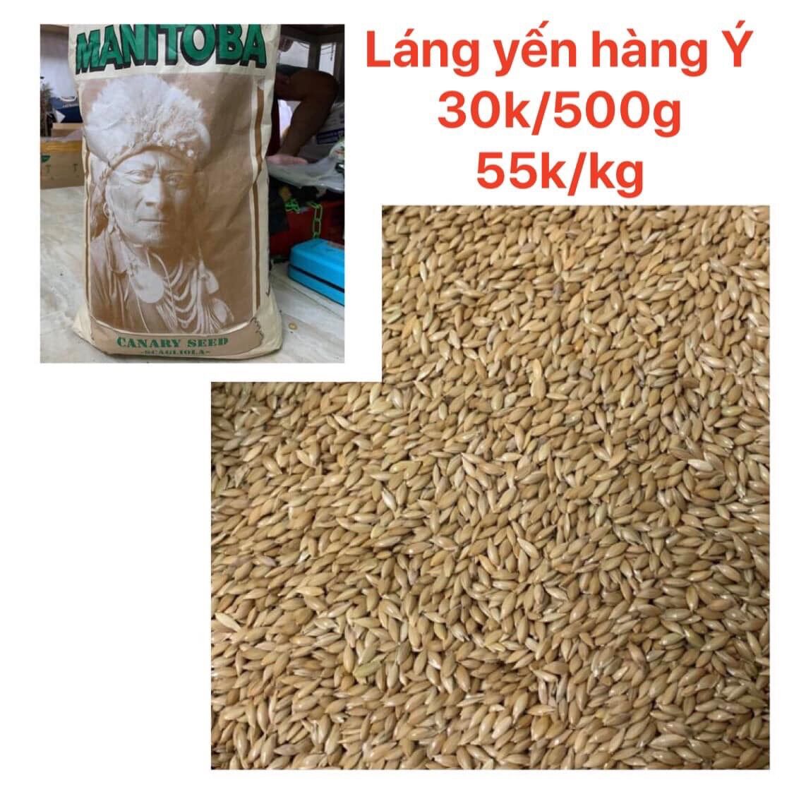 1kg hạt láng yến .