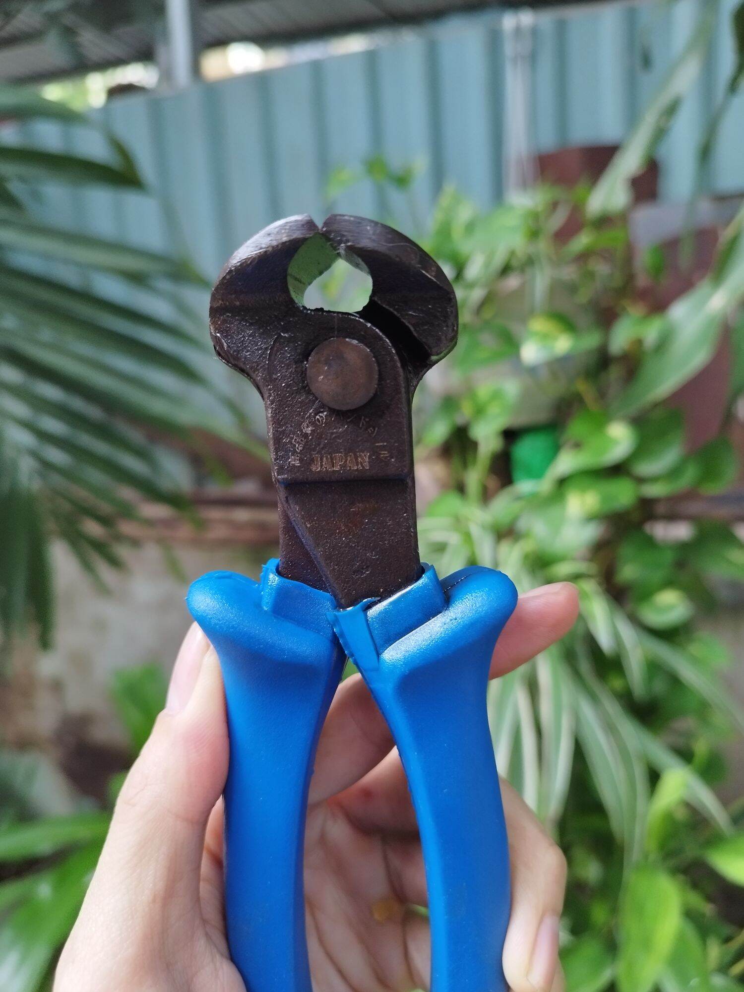 kìm cắt mép ( kìm cua) 8in