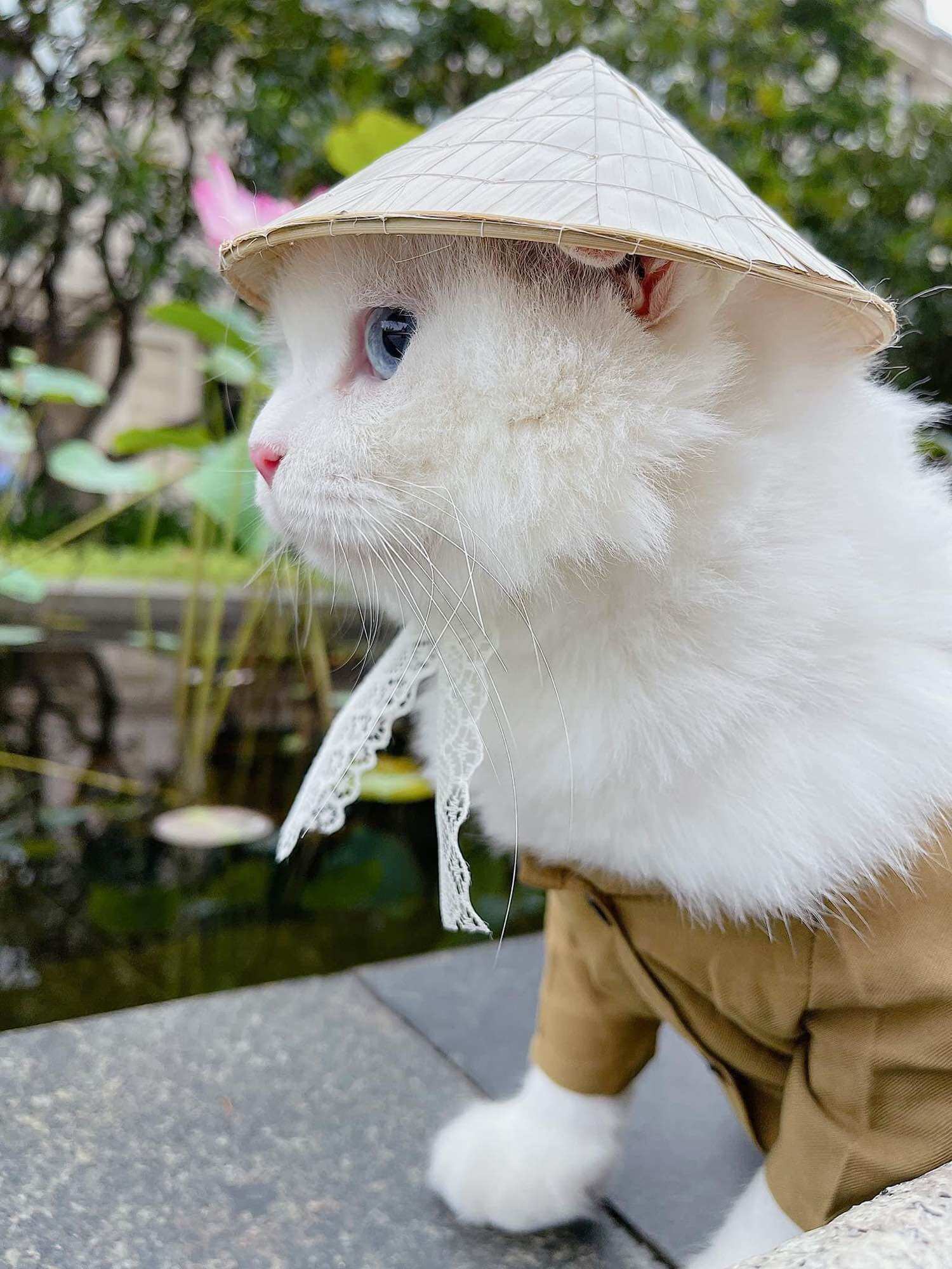 Nón Lá Cho Thú Cưng Chó Mèo
