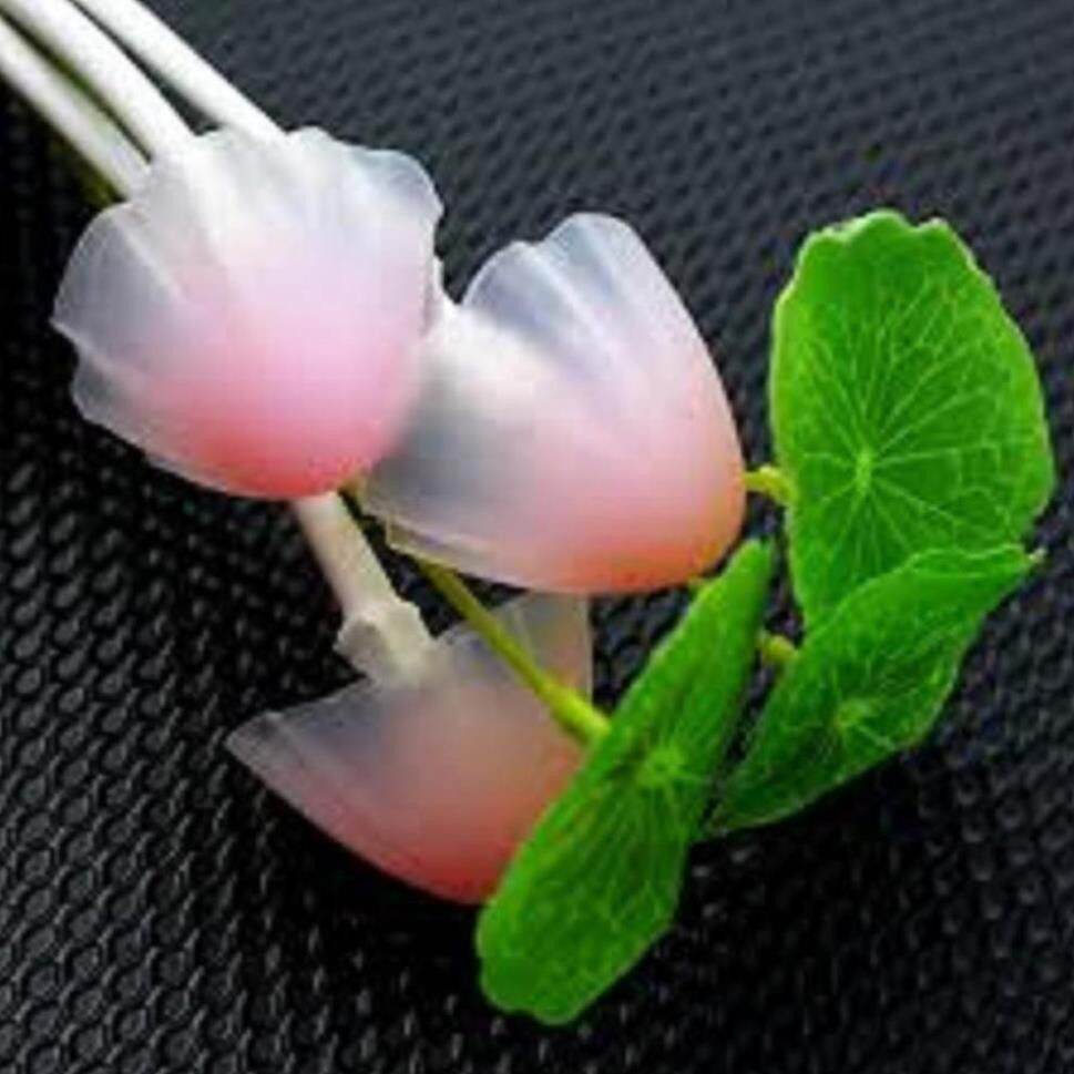 ĐÈN NGỦ CẢM BIẾN HÌNH CÂY NẤM
