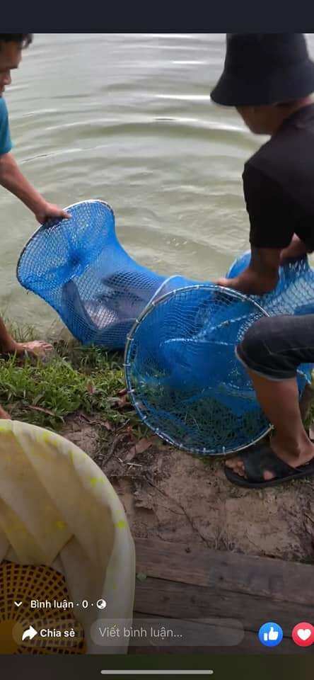 Túi rọng cá dành cho các cần thủ  ( dài 1,5m rộng 60cm )