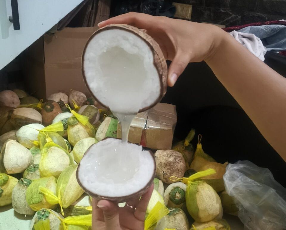 DỪA SÁP