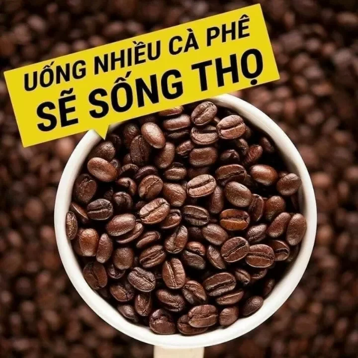 [CHỒN THƯợNG HẠNG] 1 KG CÀ PHÊ RANG XAY PHA PHIN BAN MÊ