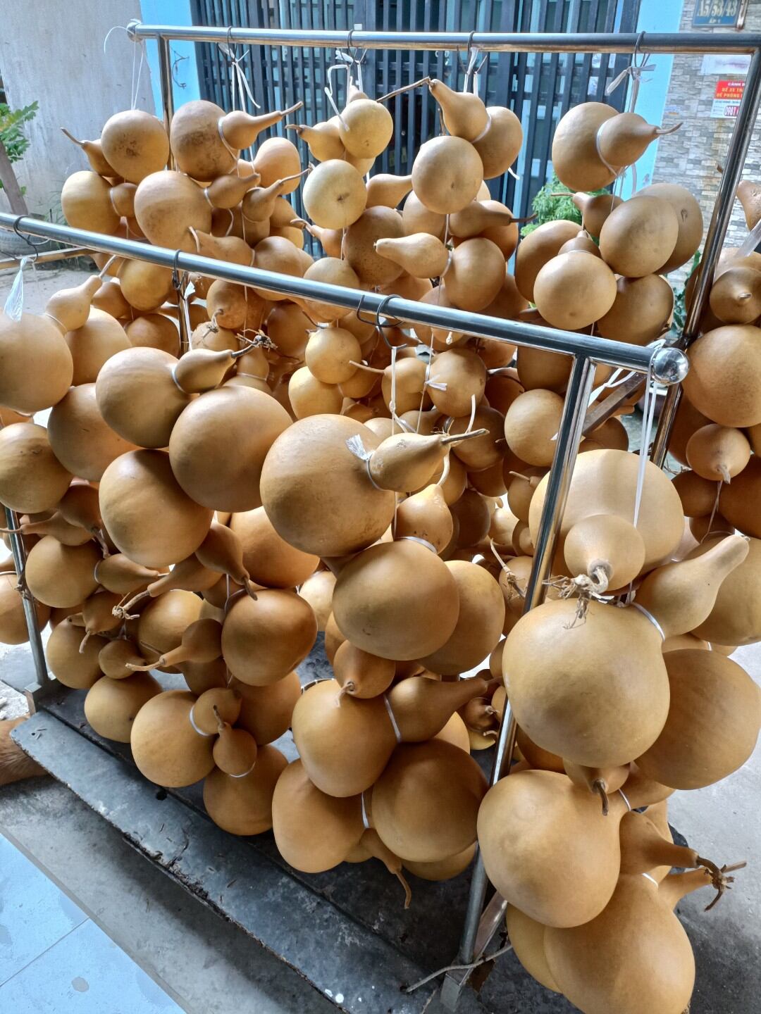 BẦU HỒ LÔ PHONG THỦY