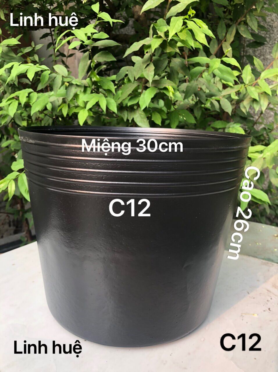 Chậu nhựa trồng sen 30 cái C12 bít lổ nuôi cá màu đen