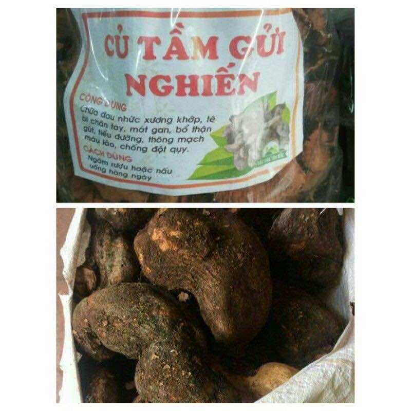 Combo 2kg tầm gửi nghiến tươi