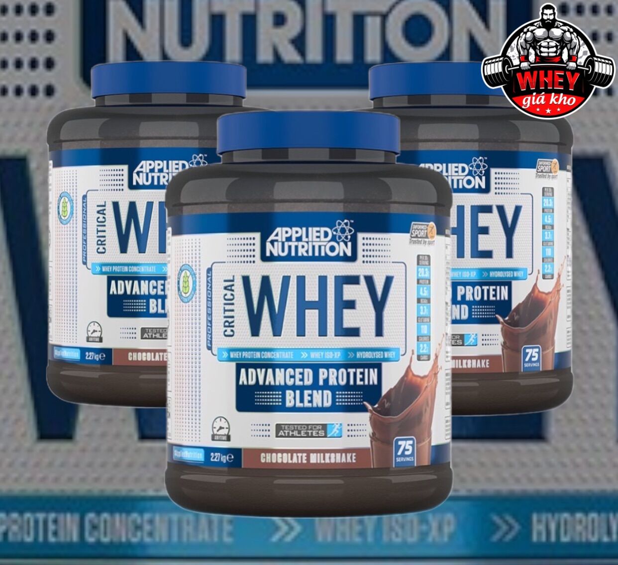 Sữa Tăng Cơ Applied Nutrition Critical Whey (75 lần dùng)