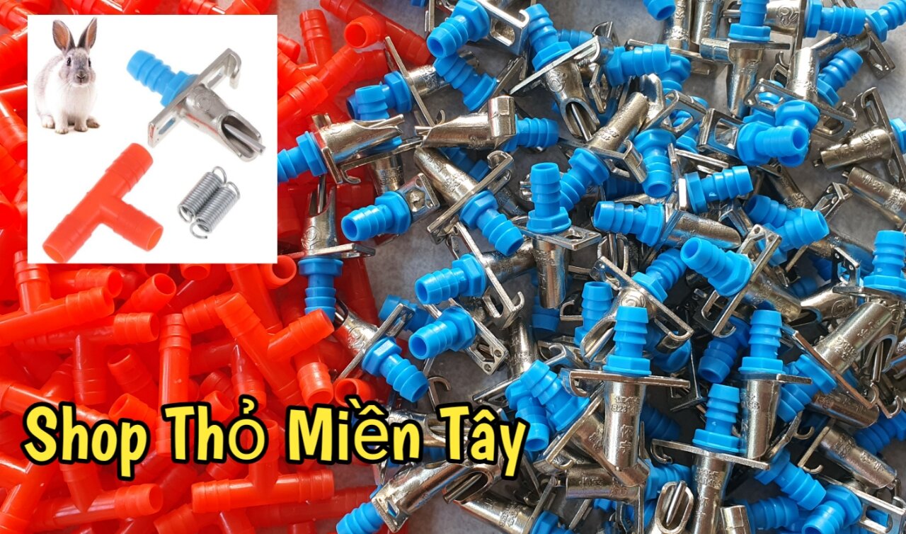 Giá sỉ 100 van thỏ loại 2 lò xo
